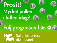Banner med text: Prosit! Mycekt pollen i luften? Följ pollenrapporten här.