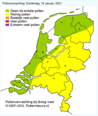 Holländsk pollenprognos 2021-01-14. Foto: https://www.pollennieuws.nl/
